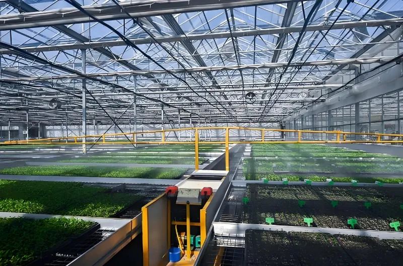 Product View 5