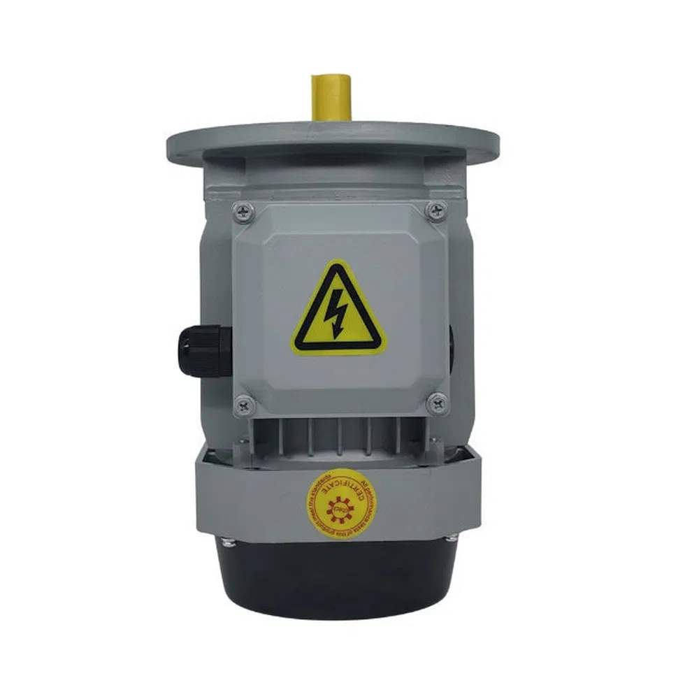 Risc Low Noise High Torque Permanent Magnet Synchronous Motor for Equipment Manufacturer