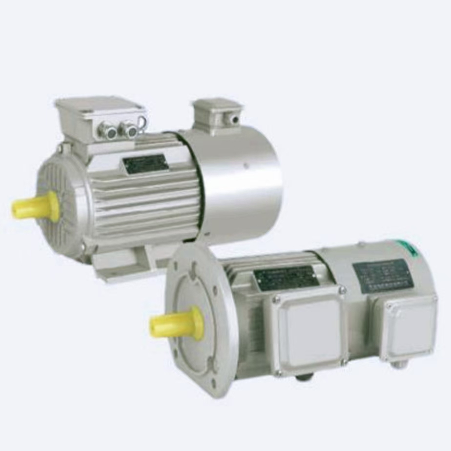 Customized IP55 Variable Speed Asynchronous Motor for International Trade
