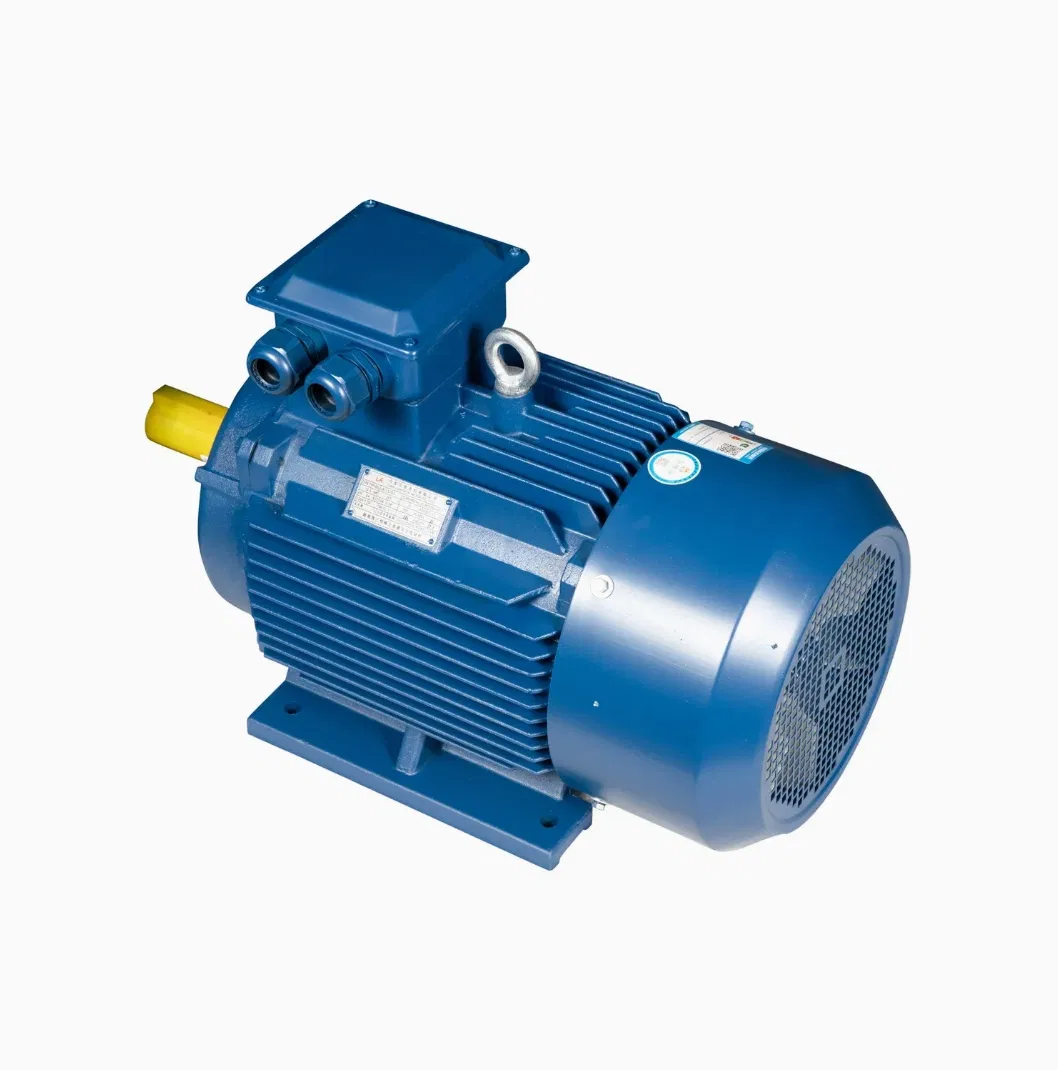 VFD Asynchronous Electric Motor