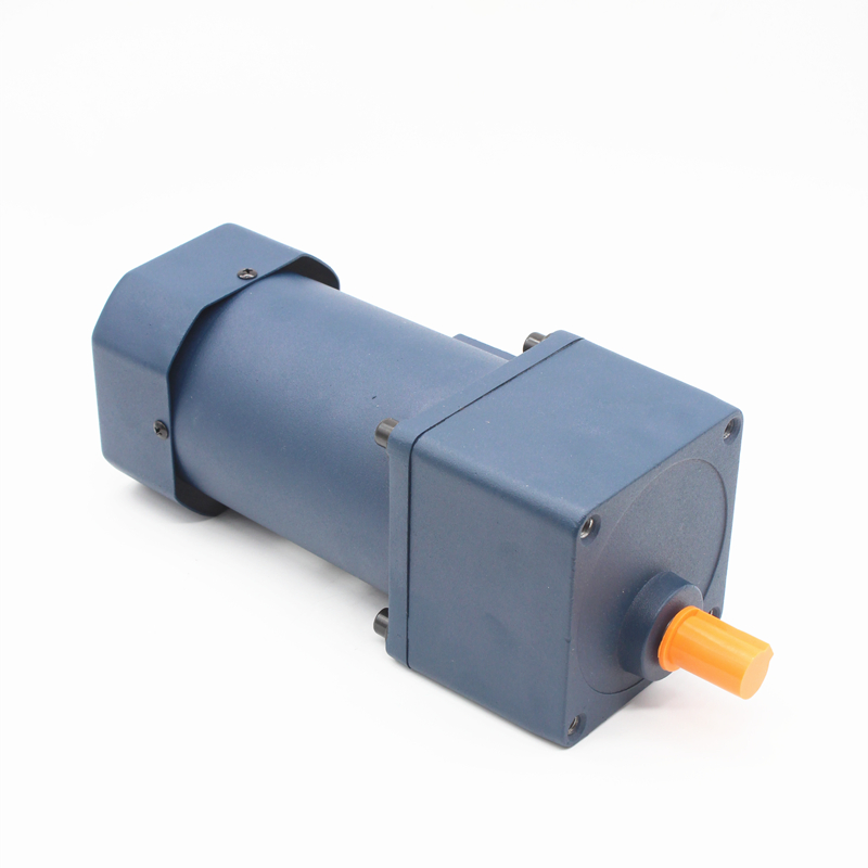 Single Phase 110V 220V 90W Induction AC Gear Motor