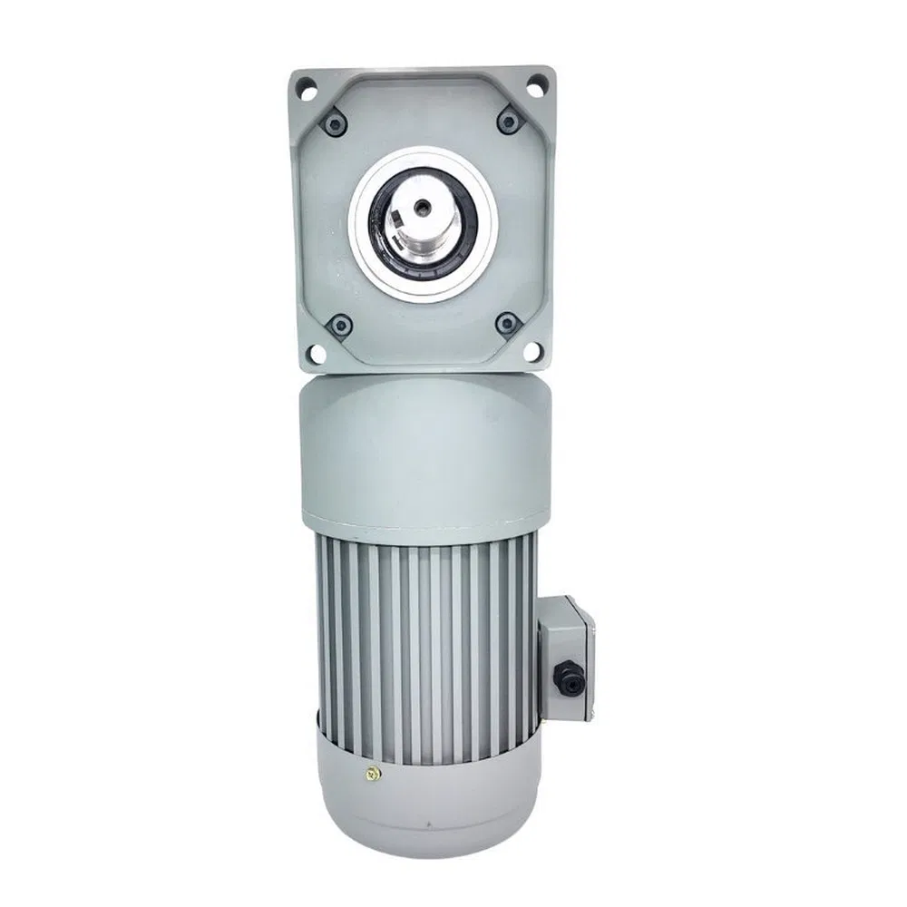 Zf04-45 Risc High Torque Stability Gear Motor with Bevel Gear Reducer for Automatic Parking Garages