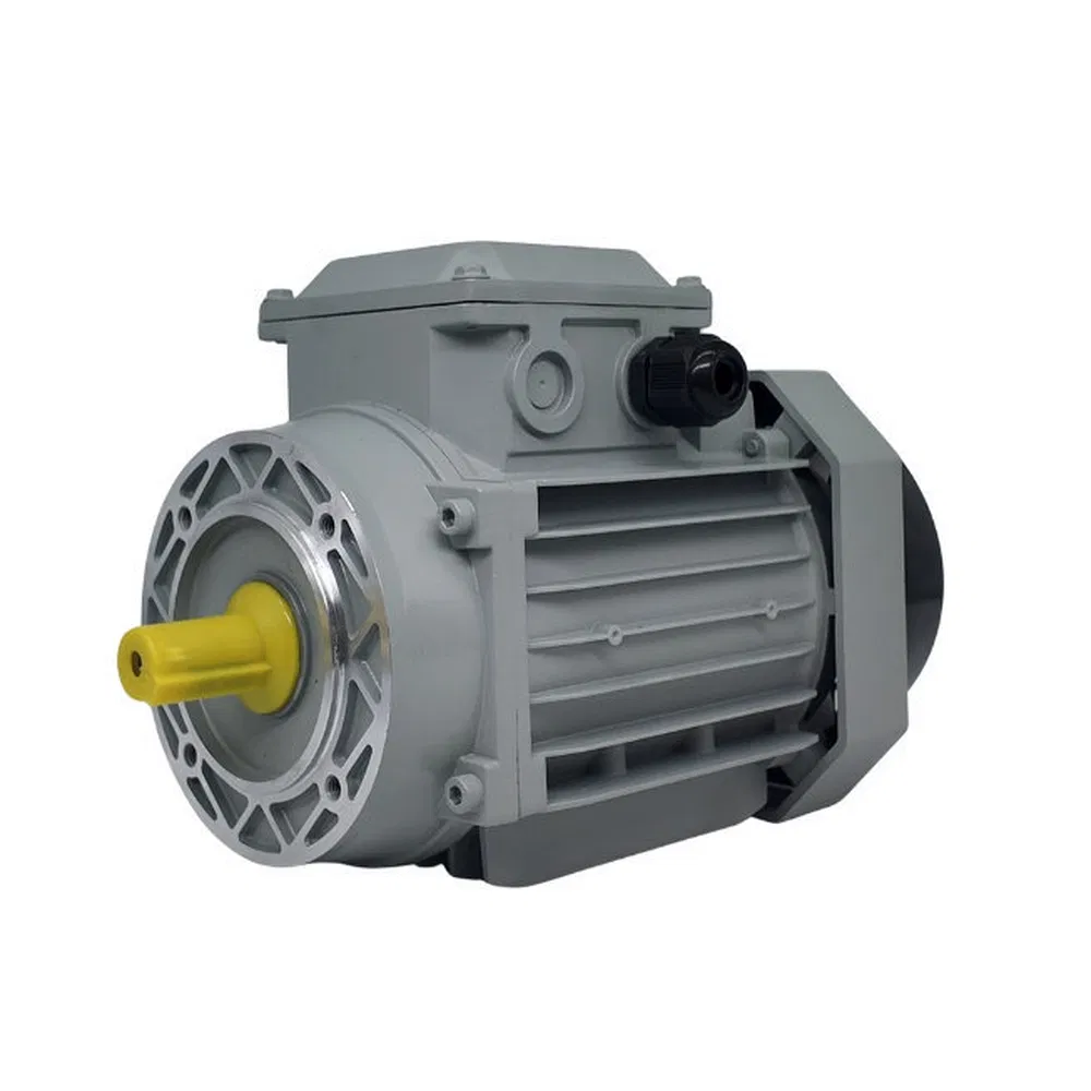 Risc Low Noise High Torque Permanent Magnet Synchronous Motor for Equipment Manufacturer