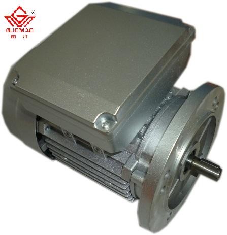 220V YL Series Single Phase Electric Motor