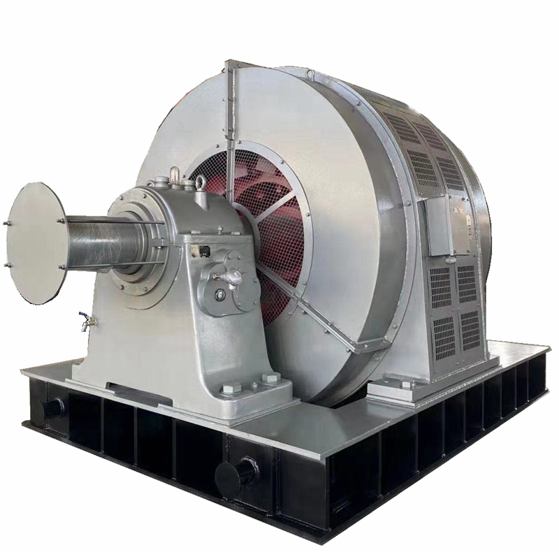 Tdmk2500, 2500kw, 40p, High Voltage Synchronous Motor for Mill, 150rpm, 6000V