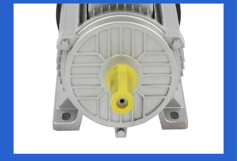 Single Phase Induction Motor 220V 1