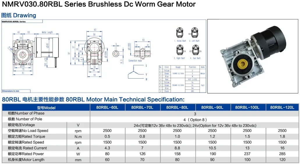 Brushless Motor with Encoder