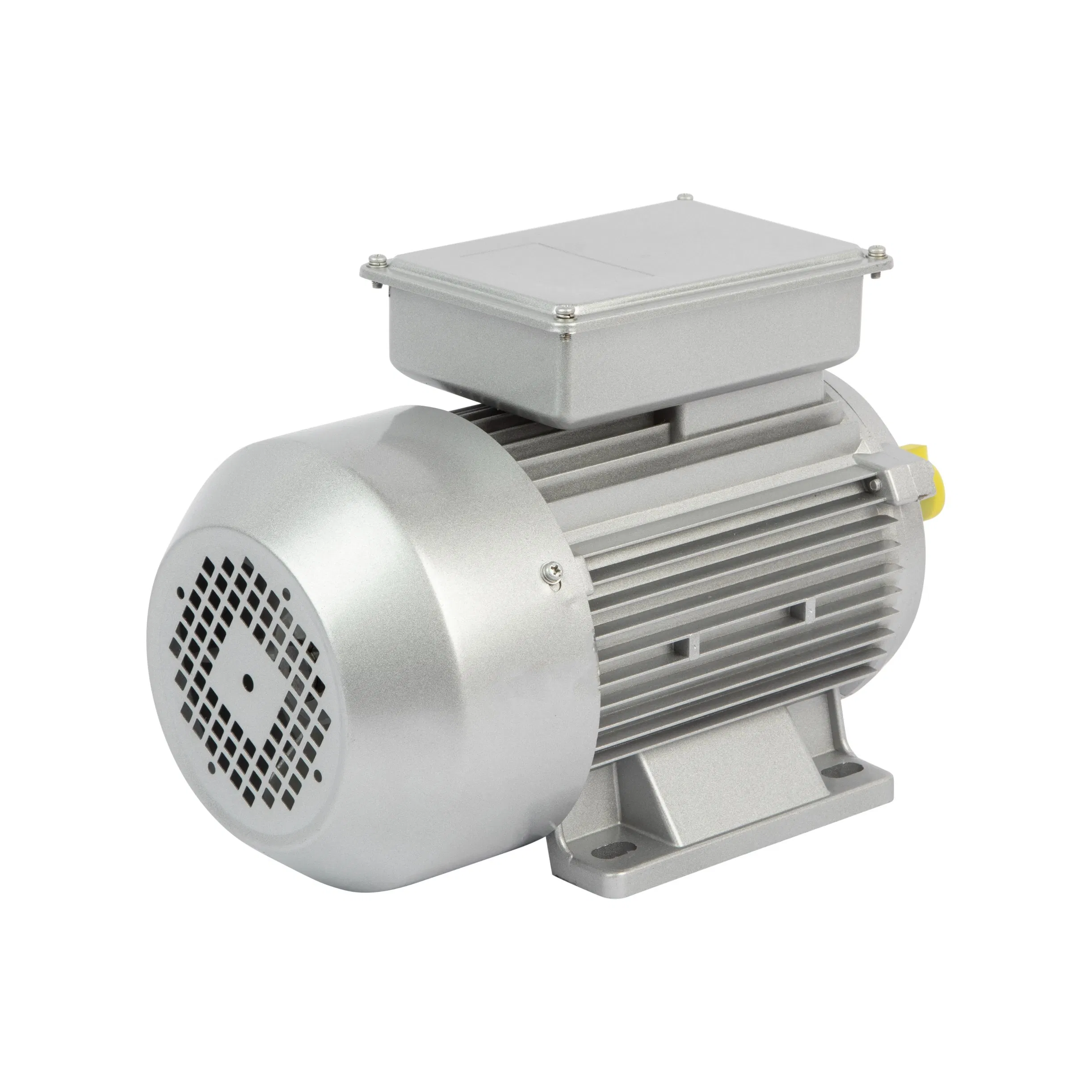 Single Phase Induction Motor 220V Meat Grinder Food Packaging Machinery Motor
