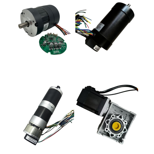 Custom Good Quality 15W to 2000W Electric Brushless DC Motor 24V 12V 36V 48V 325V BLDC Servo Worm Planetary Gear Motors with Driver Controller Gearbox Encoder