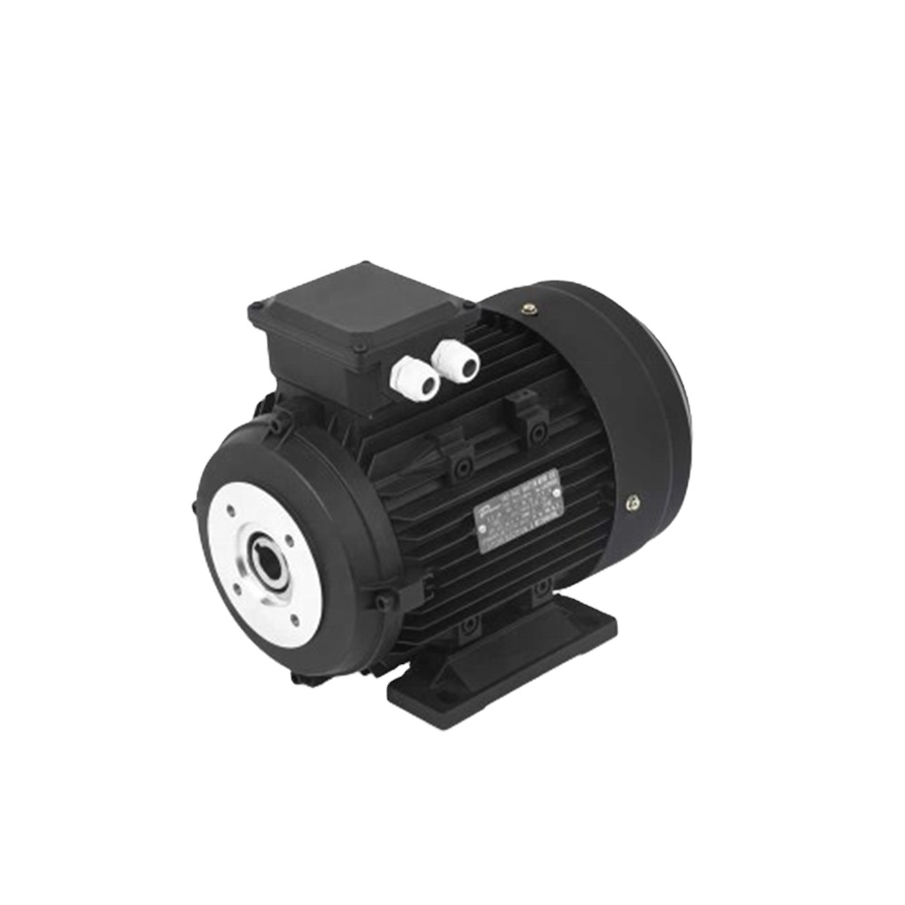 IE1,IE2,IE3 AC Asynchronous Induction Hollow Shaft Electric Motor For Pressure Washers