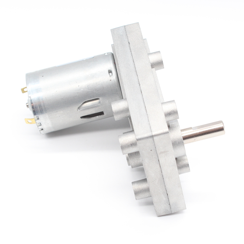 Brushed High Quality Low Rpm DC Spur Gear Motor