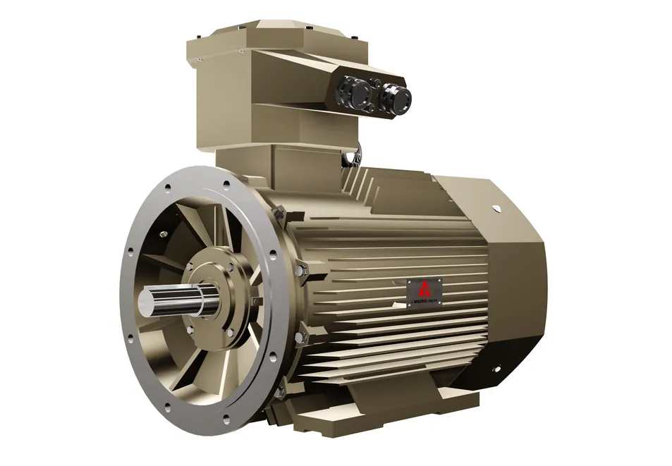 Tzyw Positive Pressure Synchronous Motor Main