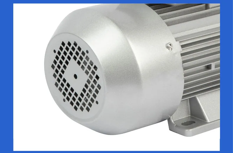 Single Phase Induction Motor 220V 4