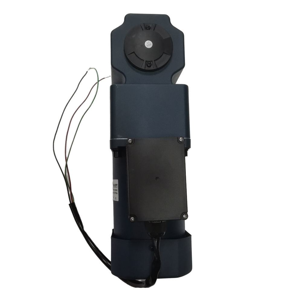 250W AC Right Angle Hollow Shaft Micro Gear Motor Single Phase 220V With Thermal Protection High Speed Reducer