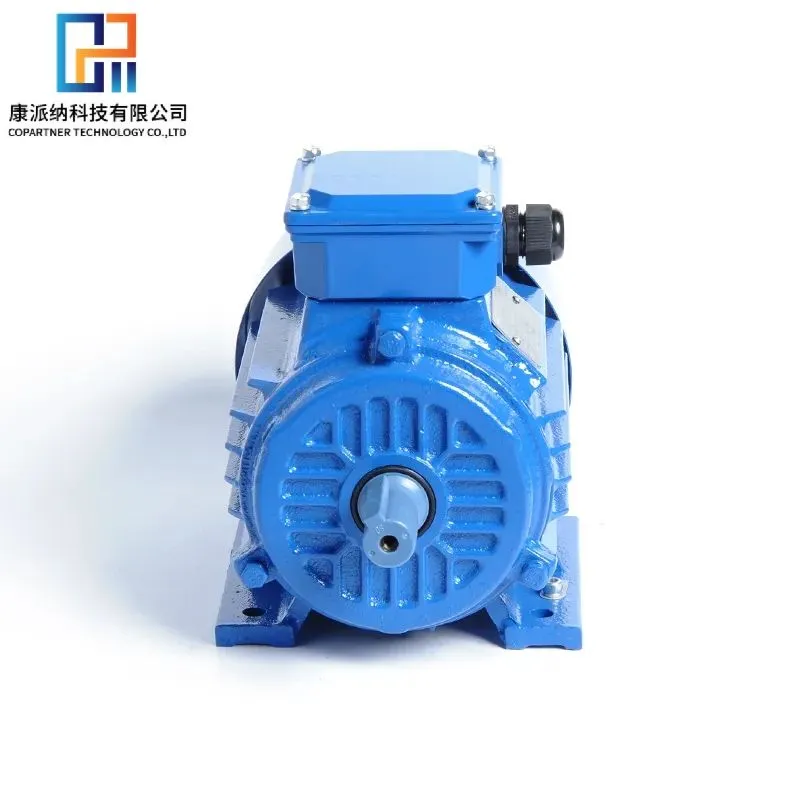Y2 Series Industrial Electric Motor