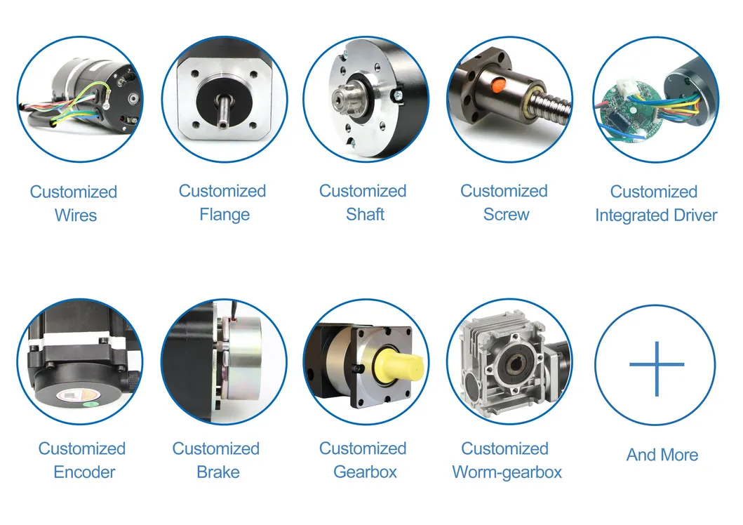Motor details