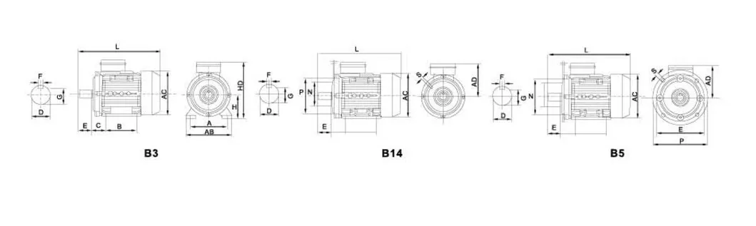 Motor Details 2