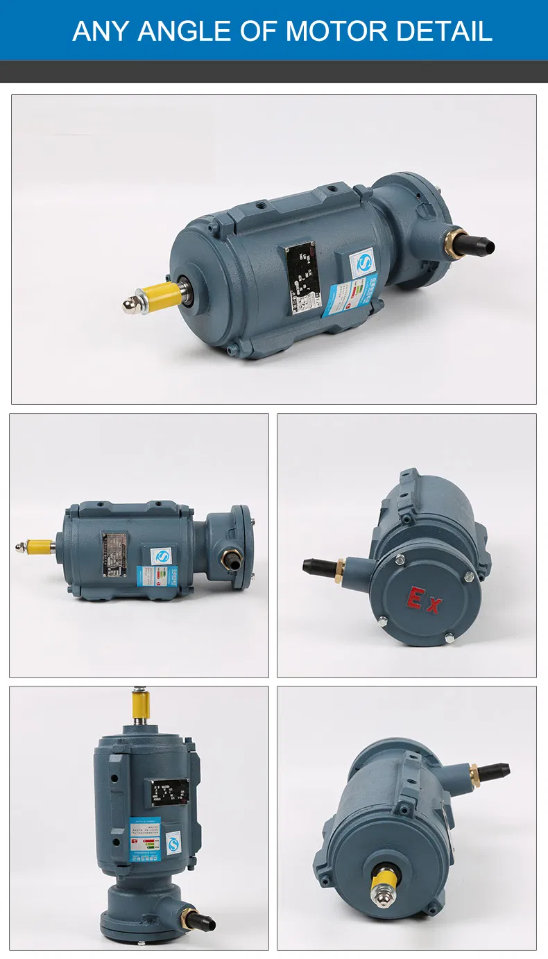 Motor Detail 5