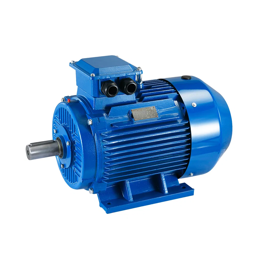 Motor View 1
