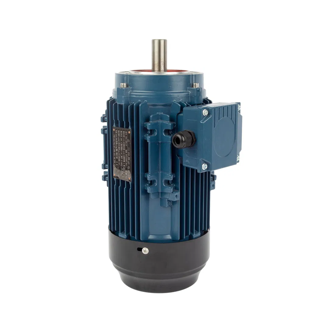Electric Motor Internal Structure