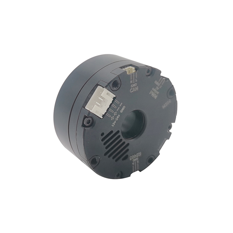 Faradyi High Quality Flat Servo Gear Electric Hollow Shaft Gimbal Bldc High Torque Dc Motor 12V 24W 24v with Encoder