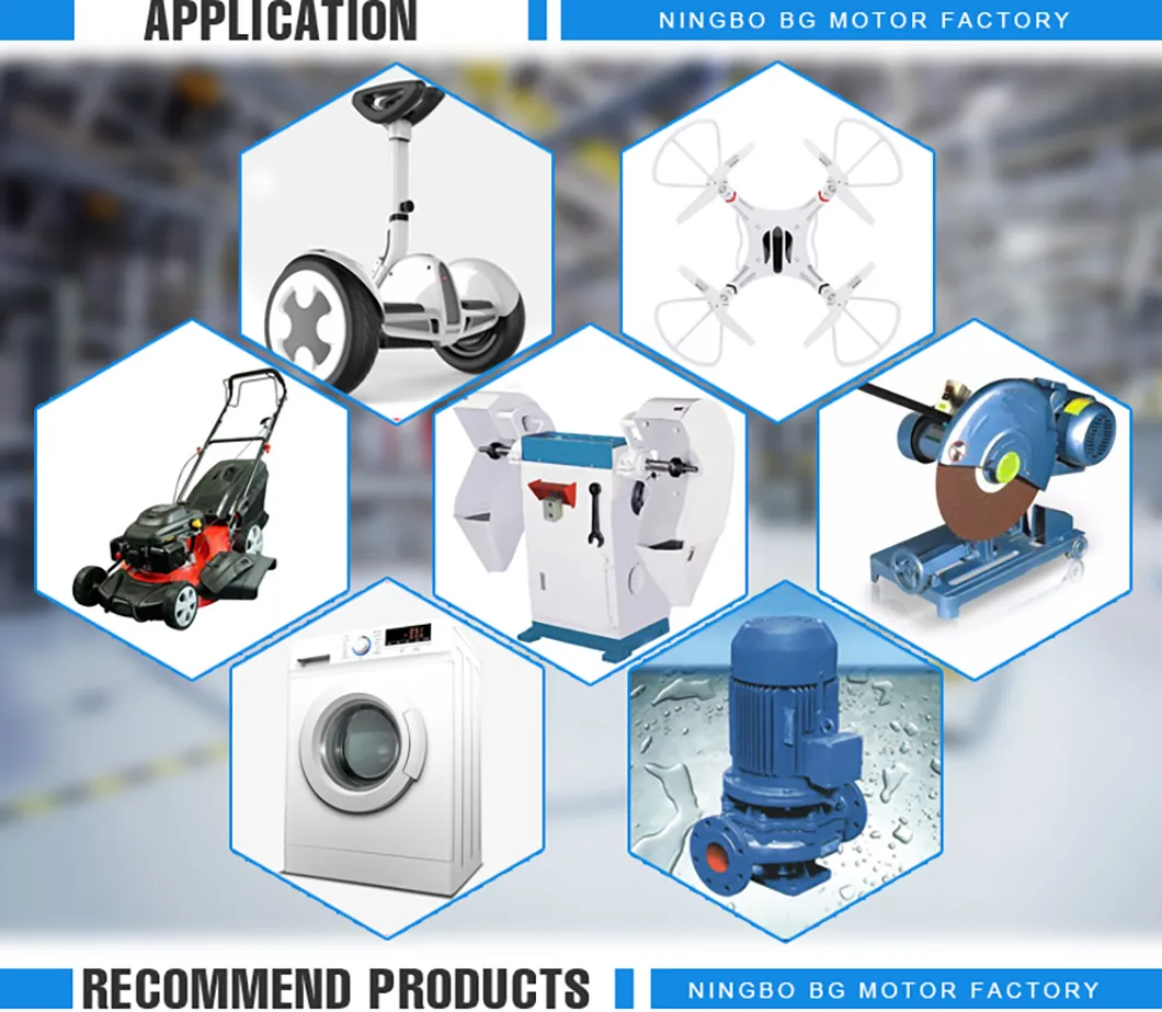 Motor Technical Details