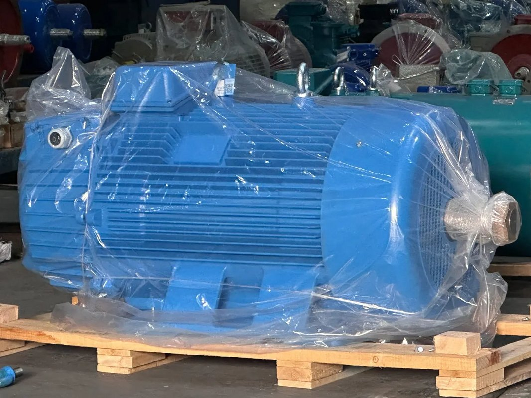 High Voltage Industrial Explosion Proof Electrical 50Hz/60Hz Squirrel Cage Three Phase Asynchronous AC Induction Electric Motor