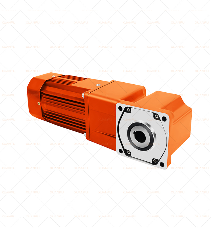 Nice 220v 380v AC Motors Waterproof Power Output Shaft Hollow Gear Electric Motor 1500rpm Price