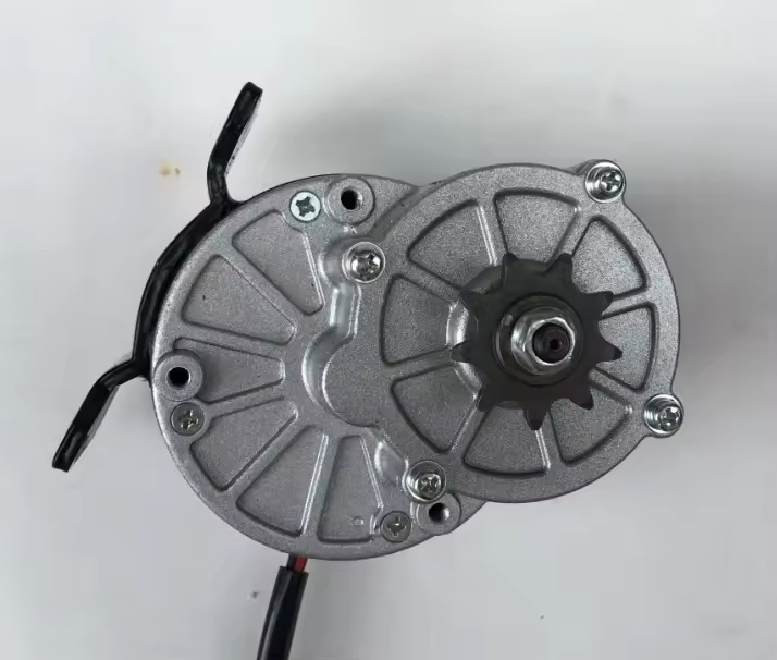 350W 24V 36V DC Gear Motor for Wheelchair Electric Tricycle Vehicle Motorcycle My1016z