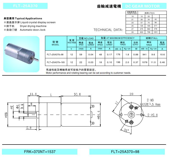 Motor Detail 4