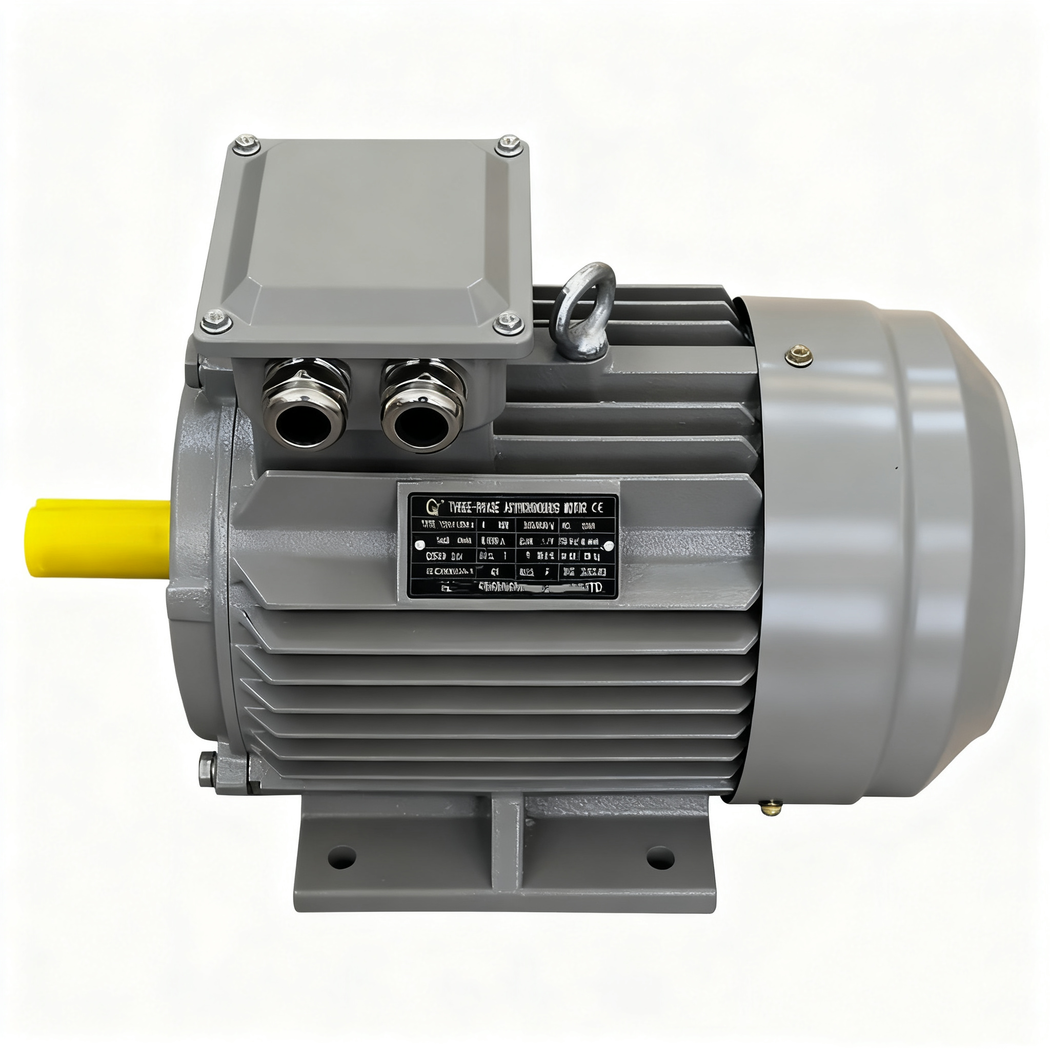 High Efficiency Three-Phase Induction Asynchronous Motor YE3-250M-4 IE3 Electric Motor 55kw AC Motors BIOTE 50/60Hz