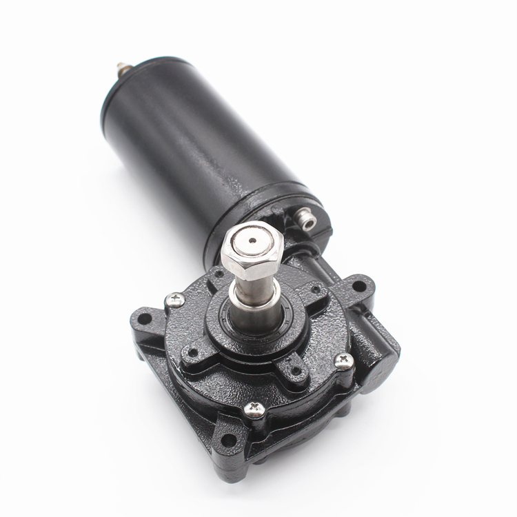 73zyt Hollow Shaft 24V Permanent Magnet Sliding Door 12V DC Wiper DC Worm Gear Motor