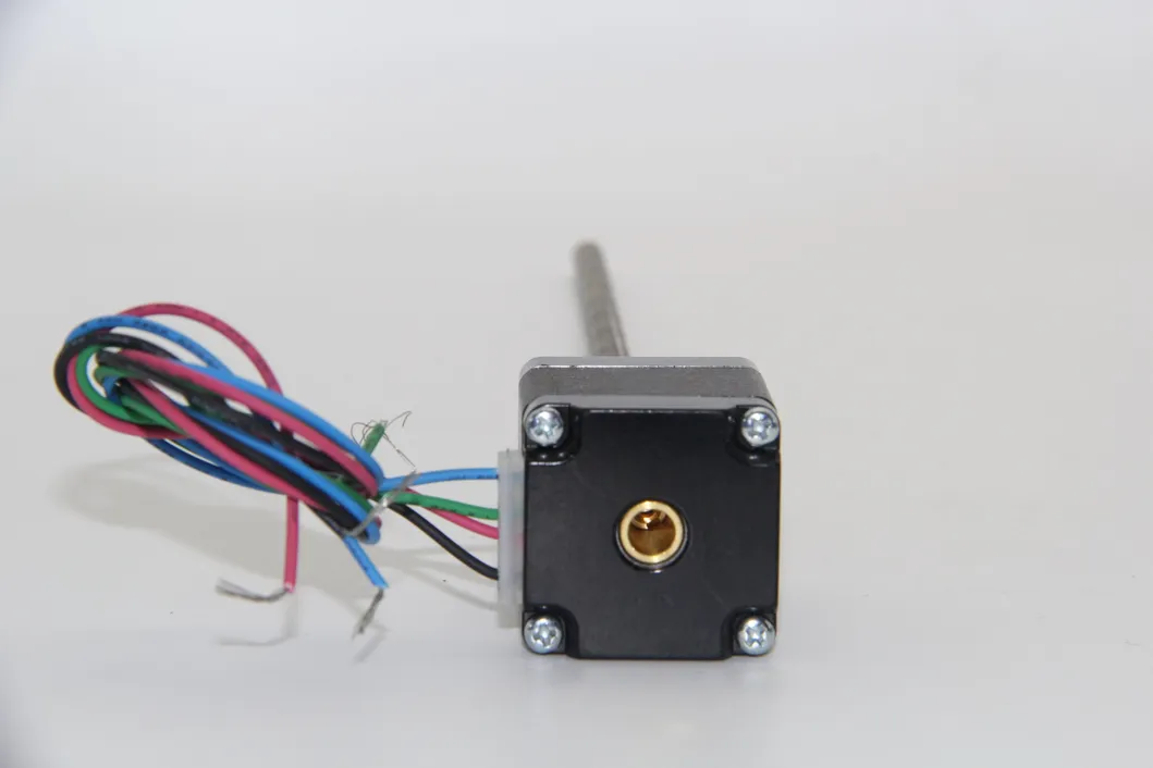 Linear Stepper Motor Detail 1