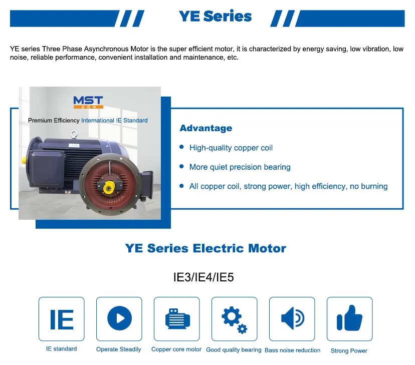 Asynchronous Induction Motor