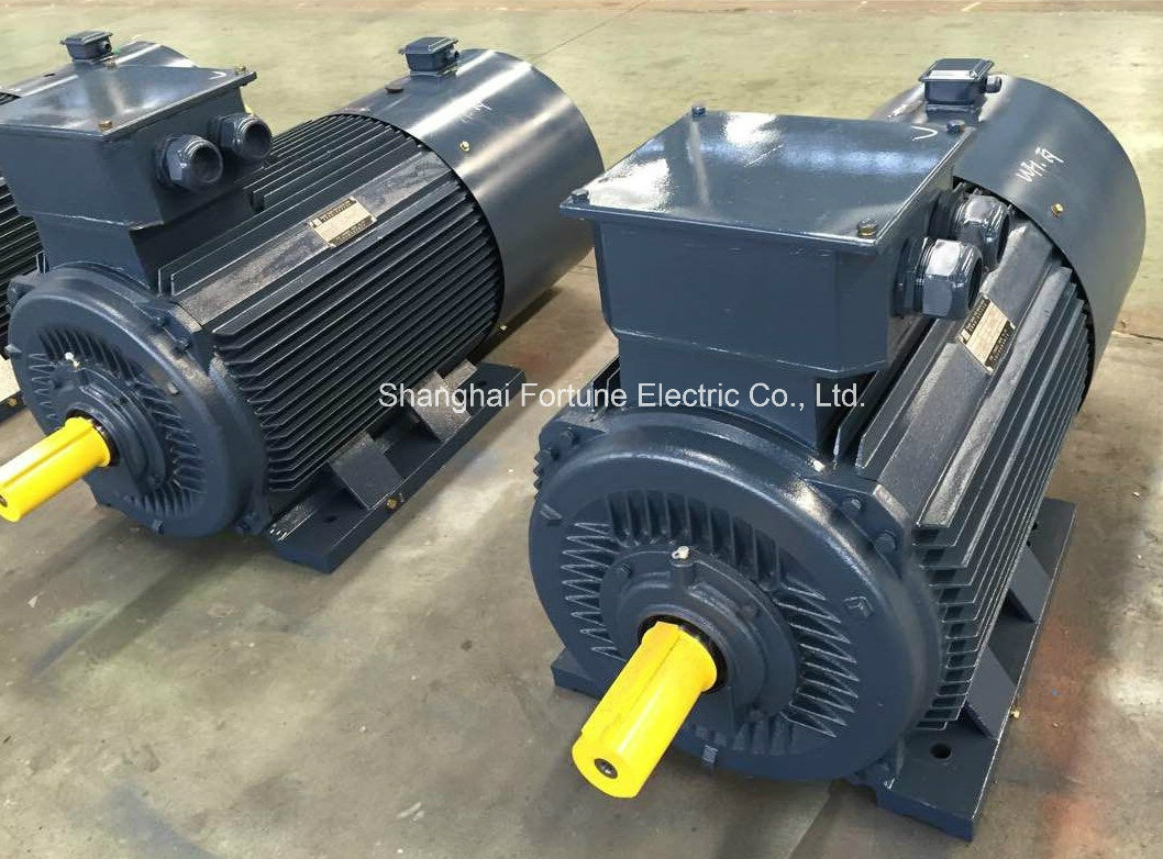 Yvf2 Y2vp Yjp Ysp Variable Frequency Speed VFD Converter Duty AC Motor