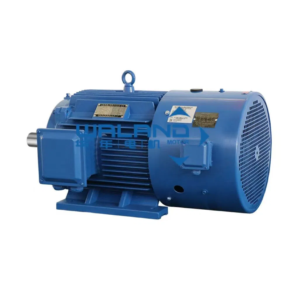 YVP Motor Description