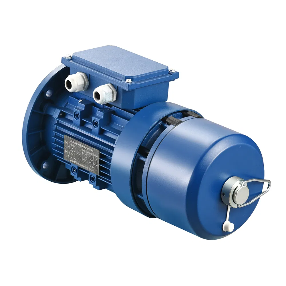 Variable Frequency Vf Adjustable-Speed Speed Regulation Three Phase Brake AC Electric/Electrical Motors