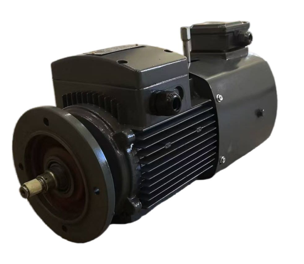 High-Efficiency 9.2kw Three Phase Asynchronous Reduce Induction Motor for Industrial Use
