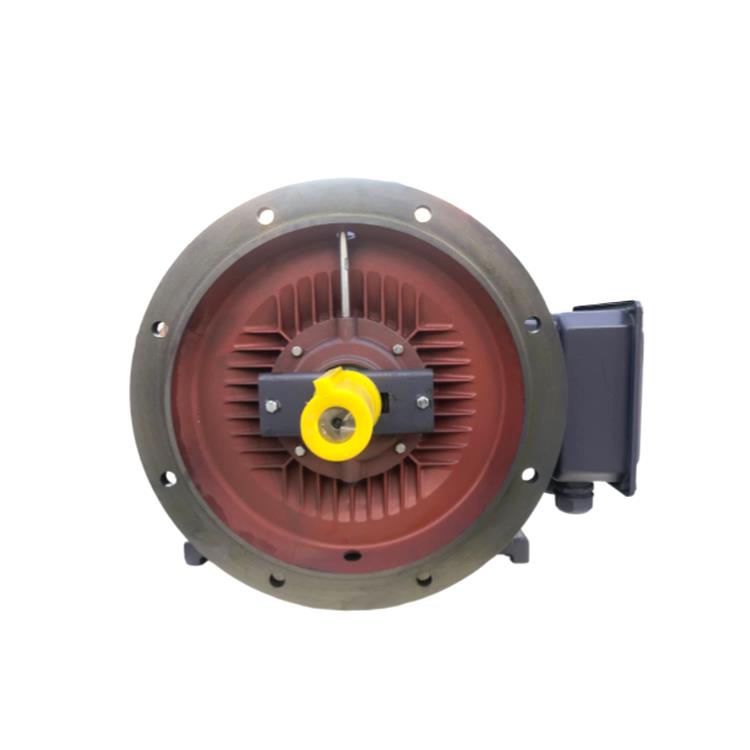 YE3-200L-4 30KW 40hp 380V 50Hz 1450 RPM AC Electric Three Phase Asynchronous Motor