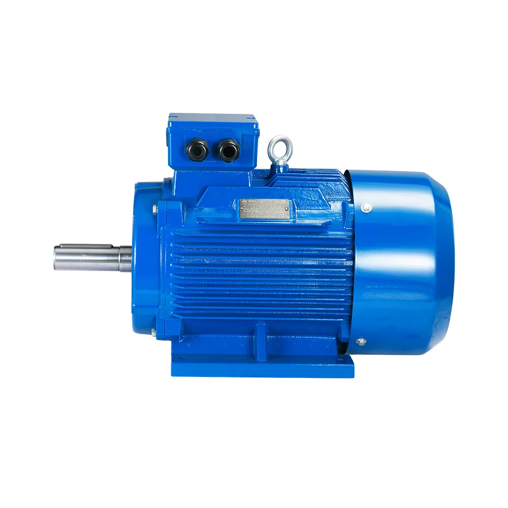 Y2 Y3 Ie2 Ie3 Ie1 Supplier 18.5kw 22kw 30kw 45kw 55kw 75kw 160kw 200kw 2800rpm 220V 380V AC Induction Electric 3phase Motor