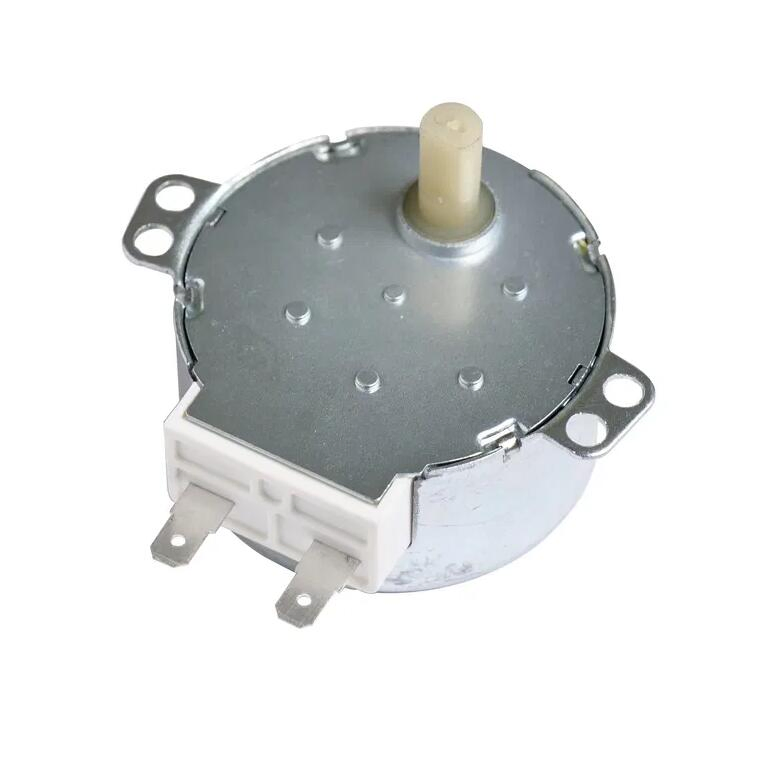 Best Price AC Synchronous Motor 49tyj 4W 12/24V 110/220V for Electric Fireplace