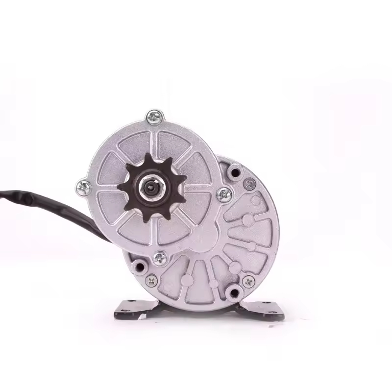 350W 24V 36V DC Gear Motor for Wheelchair Electric Tricycle Vehicle Motorcycle My1016z