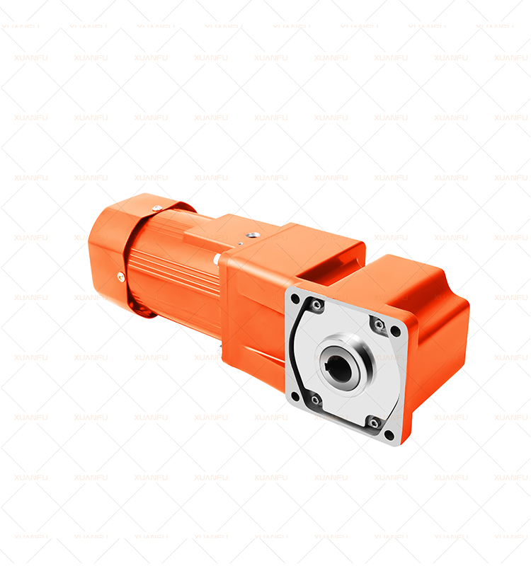 Hollow Gear Reduction AC Motors Electric Power Output Shaft Reduction mini Gear Motor Rated Speed