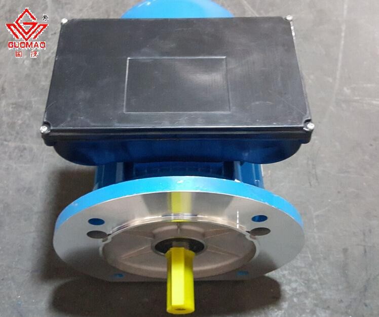 220V YL Series Single Phase Electric Motor