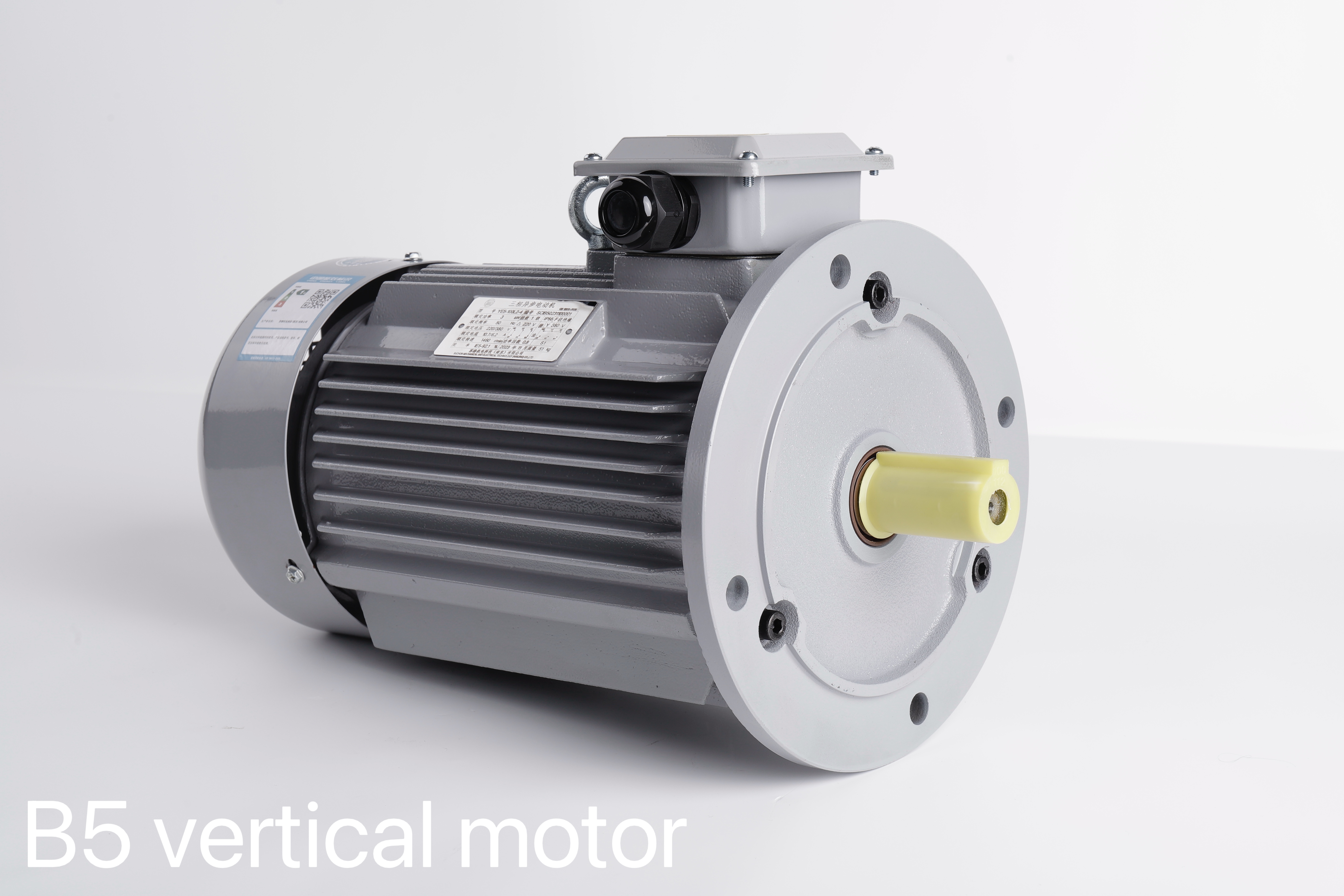 Motor Detail 4