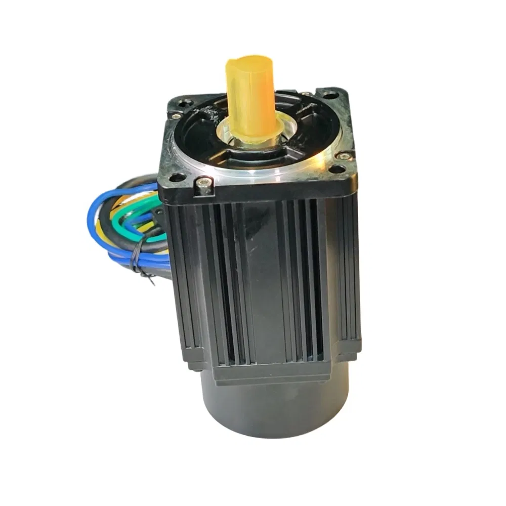 48V 96V 750W 3000rpm DC Servo Motor Permanent Magnet Synchronous Motor with Incremental Encoder Support Customization