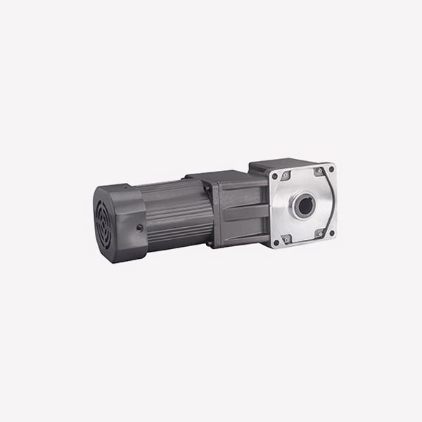 Hollow Single-phase Gear Reduction AC Motors 220V Electric 1 kW Power Output Shaft Waterproof CCC Certified 1500 RPM IE3