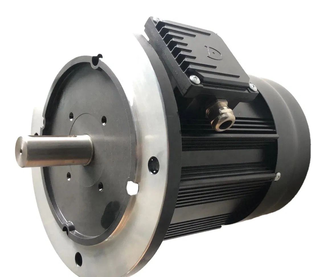 3000W Electric BLDC Brushless DC Motor 48V 1HP 1kw 2kw 3kw