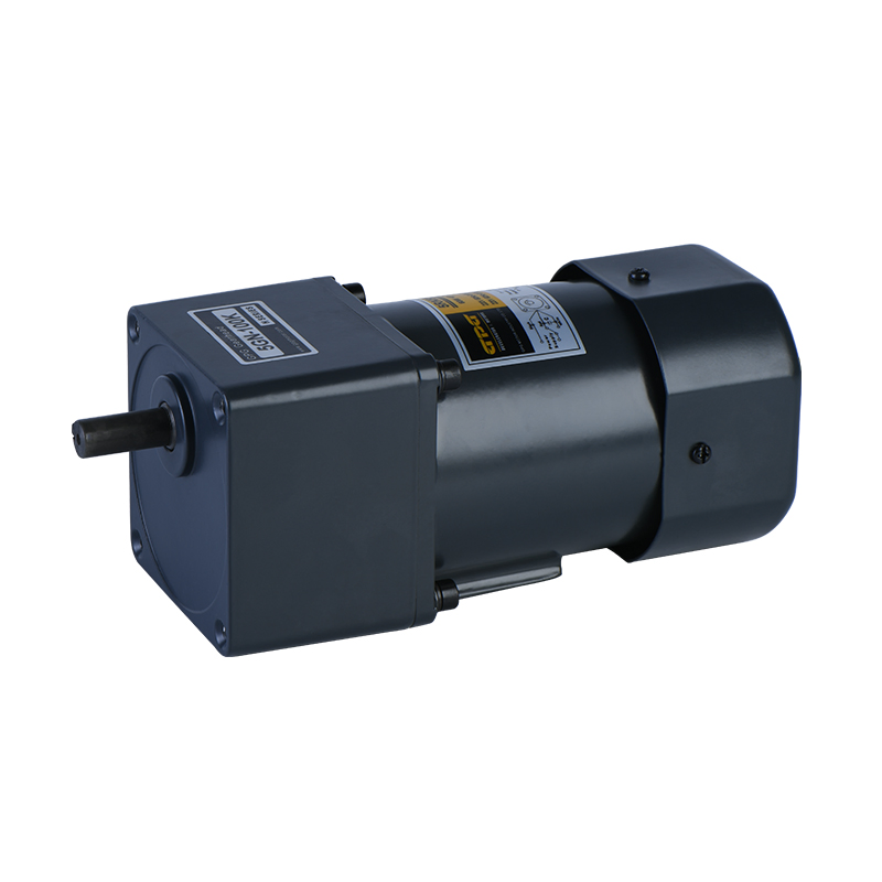 Gpg Single Phase High Precision Micro AC Geared Reduction Motor 5rk40gn for Motion Control Industry