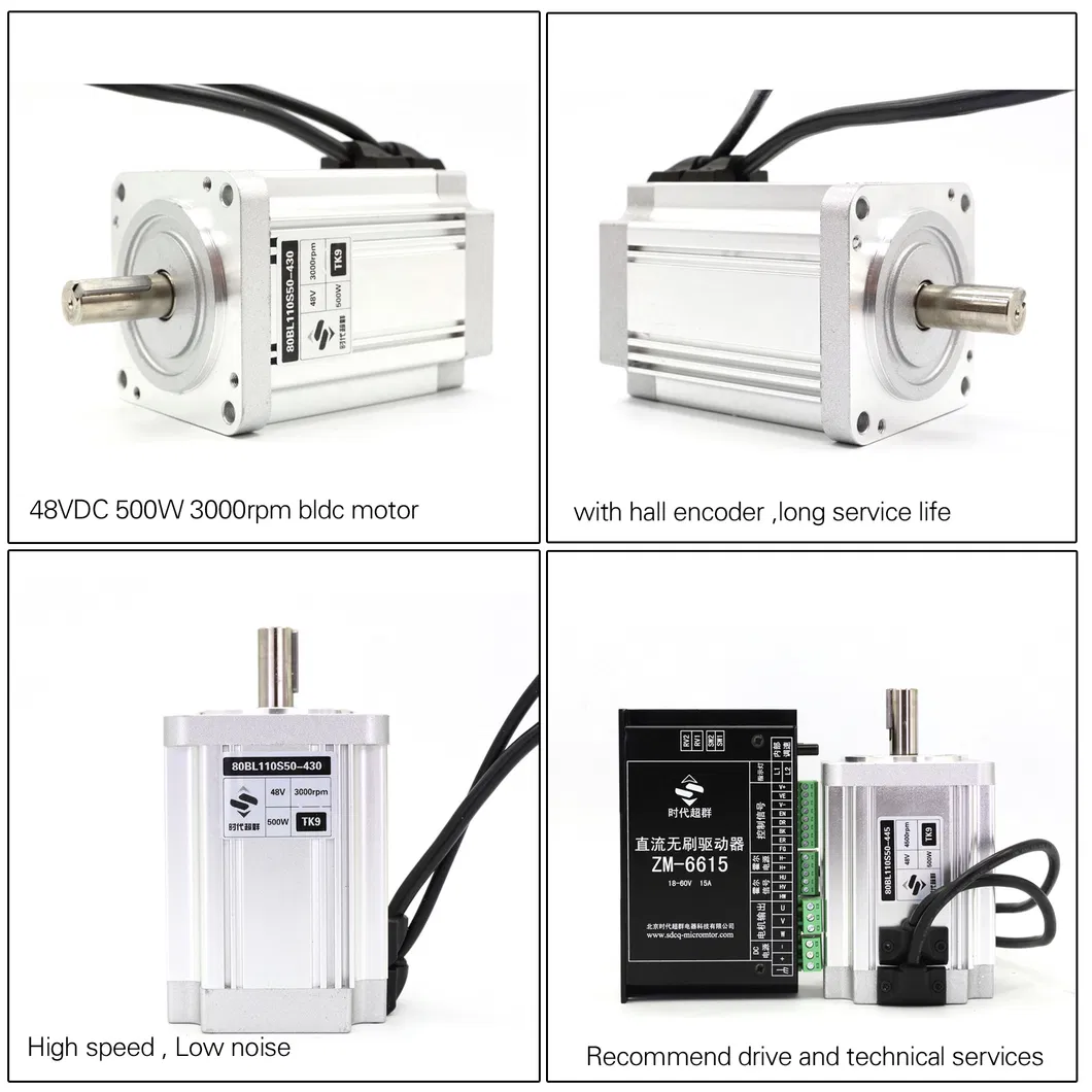 Brushless DC Motor Detail